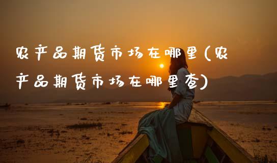 农产品期货市场在哪里(农产品期货市场在哪里查)_https://www.zztgc.com_期货直播_第1张