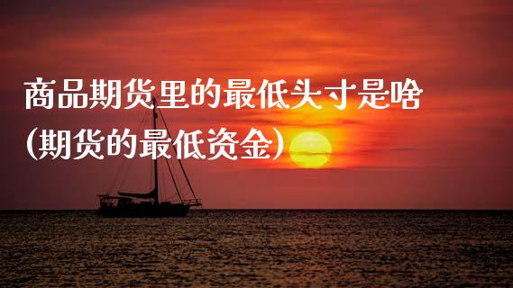 商品期货里的最低头寸是啥(期货的最低资金)_https://www.zztgc.com_黄金期货_第1张