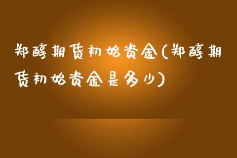 郑醇期货初始资金(郑醇期货初始资金是多少)_https://www.zztgc.com_期货入门_第1张