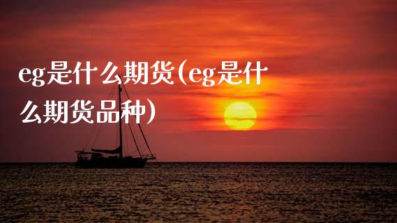eg是什么期货(eg是什么期货品种)_https://www.zztgc.com_原油期货_第1张