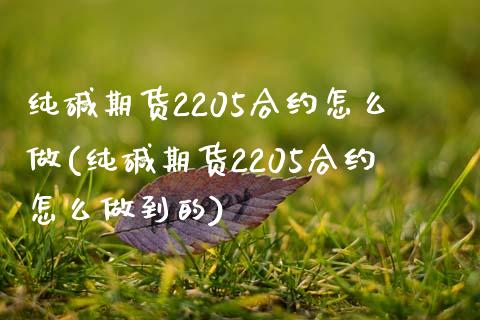 纯碱期货2205合约怎么做(纯碱期货2205合约怎么做到的)_https://www.zztgc.com_黄金期货_第1张