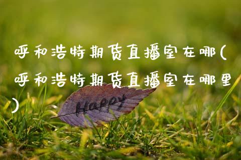 呼和浩特期货直播室在哪(呼和浩特期货直播室在哪里)_https://www.zztgc.com_期货入门_第1张