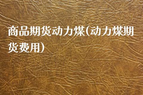 商品期货动力煤(动力煤期货费用)_https://www.zztgc.com_期货入门_第1张