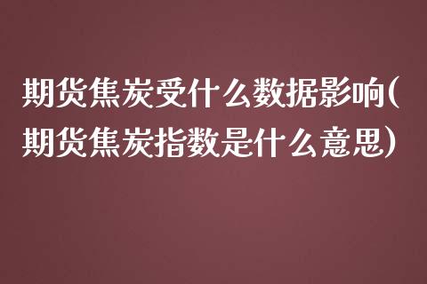 期货焦炭受什么数据影响(期货焦炭指数是什么意思)_https://www.zztgc.com_期货入门_第1张