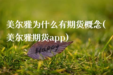 美尔雅为什么有期货概念(美尔雅期货app)_https://www.zztgc.com_期货行情_第1张