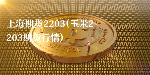 上海期货2203(玉米2203期货行情)_https://www.zztgc.com_原油期货_第1张