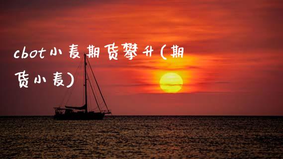 cbot小麦期货攀升(期货小麦)_https://www.zztgc.com_黄金期货_第1张