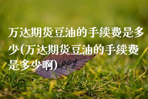 万达期货豆油的手续费是多少(万达期货豆油的手续费是多少啊)_https://www.zztgc.com_期货开户_第1张