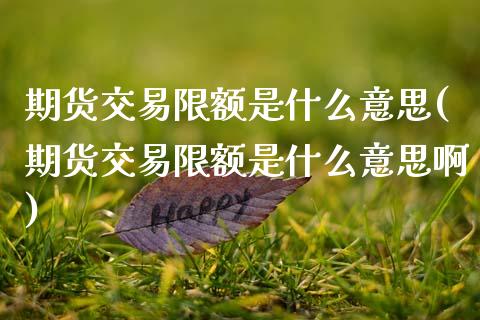 期货交易限额是什么意思(期货交易限额是什么意思啊)_https://www.zztgc.com_原油期货_第1张