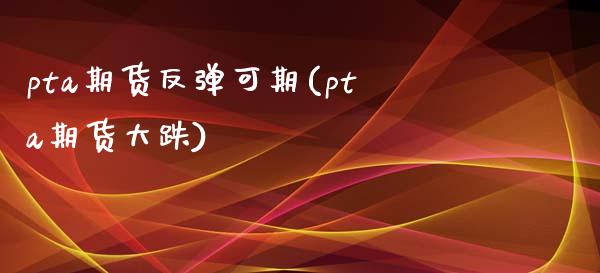 pta期货反弹可期(pta期货大跌)_https://www.zztgc.com_原油期货_第1张
