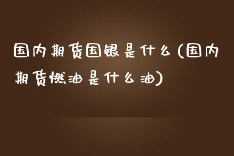 国内期货国银是什么(国内期货燃油是什么油)_https://www.zztgc.com_黄金期货_第1张