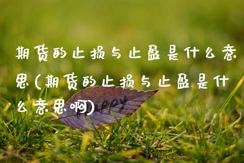 期货的止损与止盈是什么意思(期货的止损与止盈是什么意思啊)_https://www.zztgc.com_原油期货_第1张