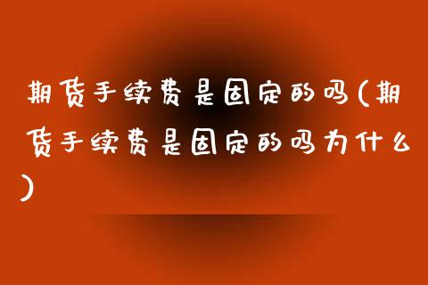 期货手续费是固定的吗(期货手续费是固定的吗为什么)_https://www.zztgc.com_期货直播_第1张