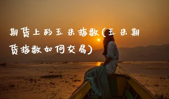 期货上的玉米指数(玉米期货指数如何交易)_https://www.zztgc.com_期货行情_第1张