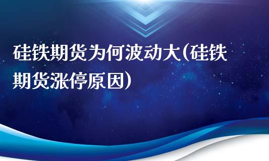 硅铁期货为何波动大(硅铁期货涨停原因)_https://www.zztgc.com_期货入门_第1张