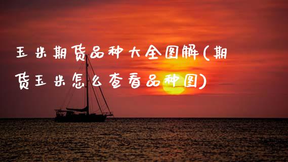 玉米期货品种大全图解(期货玉米怎么查看品种图)_https://www.zztgc.com_黄金期货_第1张