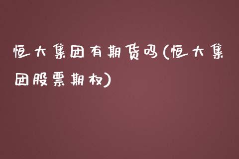 恒大集团有期货吗(恒大集团股票期权)_https://www.zztgc.com_黄金期货_第1张