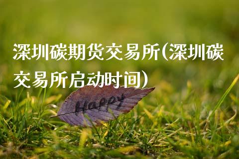 深圳碳期货交易所(深圳碳交易所启动时间)_https://www.zztgc.com_期货入门_第1张
