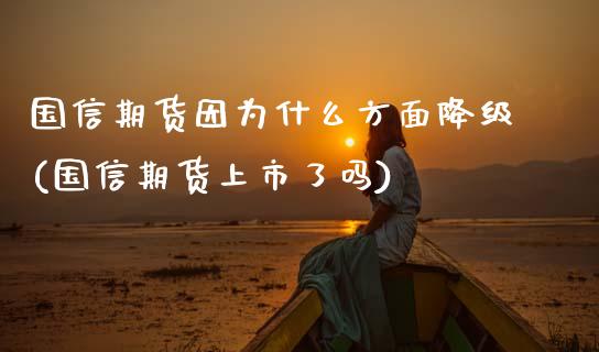 国信期货因为什么方面降级(国信期货上市了吗)_https://www.zztgc.com_期货开户_第1张