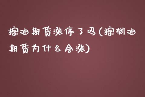 棕油期货涨停了吗(棕榈油期货为什么会涨)_https://www.zztgc.com_期货入门_第1张
