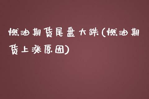 燃油期货尾盘大跌(燃油期货上涨原因)_https://www.zztgc.com_原油期货_第1张