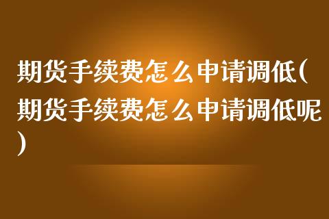 期货手续费怎么申请调低(期货手续费怎么申请调低呢)_https://www.zztgc.com_期货直播_第1张