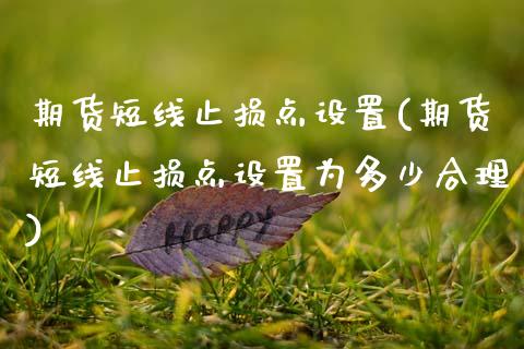 期货短线止损点设置(期货短线止损点设置为多少合理)_https://www.zztgc.com_期货行情_第1张