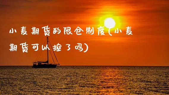 小麦期货的限仓制度(小麦期货可以控了吗)_https://www.zztgc.com_黄金期货_第1张