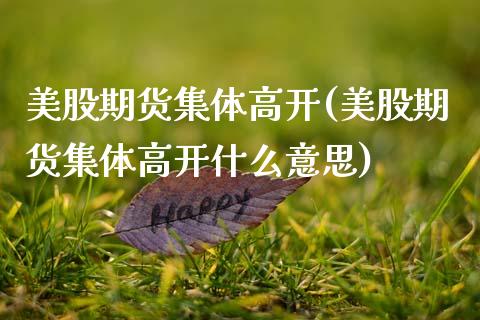 美股期货集体高开(美股期货集体高开什么意思)_https://www.zztgc.com_原油期货_第1张