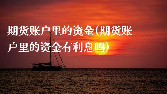 期货账户里的资金(期货账户里的资金有利息吗)_https://www.zztgc.com_原油期货_第1张
