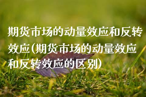 期货市场的动量效应和反转效应(期货市场的动量效应和反转效应的区别)_https://www.zztgc.com_期货直播_第1张