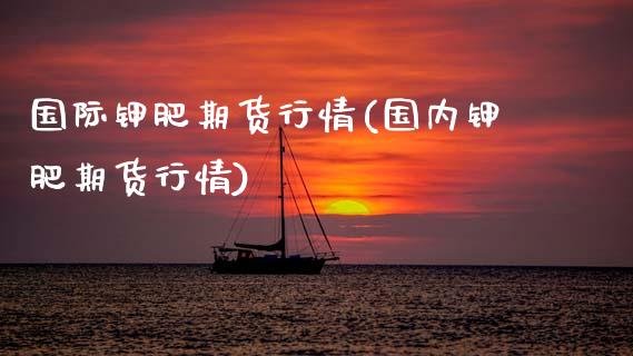 国际钾肥期货行情(国内钾肥期货行情)_https://www.zztgc.com_期货入门_第1张