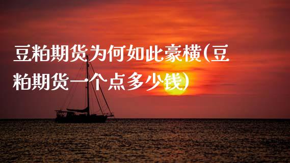 豆粕期货为何如此豪横(豆粕期货一个点多少钱)_https://www.zztgc.com_黄金期货_第1张