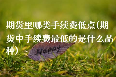 期货里哪类手续费低点(期货中手续费最低的是什么品种)_https://www.zztgc.com_期货开户_第1张