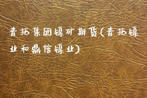 青拓集团镍矿期货(青拓镍业和鼎信镍业)_https://www.zztgc.com_期货直播_第1张