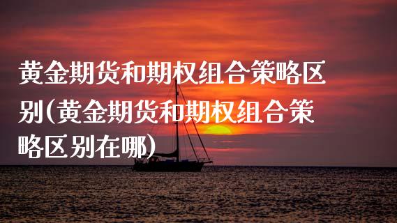 黄金期货和期权组合策略区别(黄金期货和期权组合策略区别在哪)_https://www.zztgc.com_黄金期货_第1张