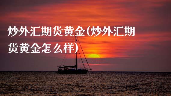 炒外汇期货黄金(炒外汇期货黄金怎么样)_https://www.zztgc.com_期货行情_第1张