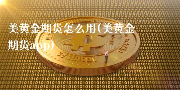 美黄金期货怎么用(美黄金期货app)_https://www.zztgc.com_期货行情_第1张