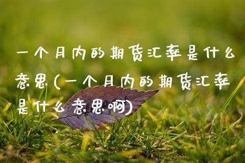 一个月内的期货汇率是什么意思(一个月内的期货汇率是什么意思啊)_https://www.zztgc.com_期货入门_第1张