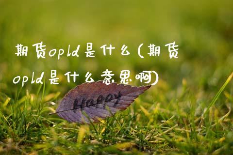 期货opld是什么(期货opld是什么意思啊)_https://www.zztgc.com_期货行情_第1张