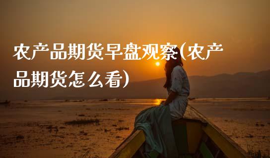 农产品期货早盘观察(农产品期货怎么看)_https://www.zztgc.com_黄金期货_第1张