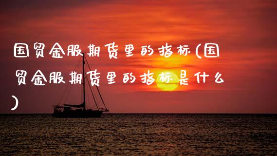 国贸金服期货里的指标(国贸金服期货里的指标是什么)_https://www.zztgc.com_期货入门_第1张