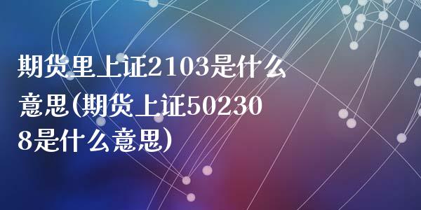 期货里上证2103是什么意思(期货上证502308是什么意思)_https://www.zztgc.com_期货入门_第1张