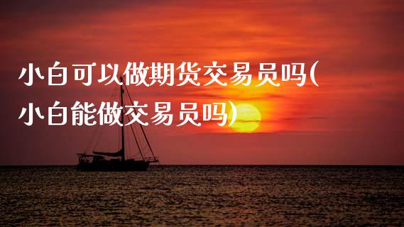 小白可以做期货交易员吗(小白能做交易员吗)_https://www.zztgc.com_期货入门_第1张