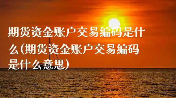 期货资金账户交易编码是什么(期货资金账户交易编码是什么意思)_https://www.zztgc.com_期货行情_第1张