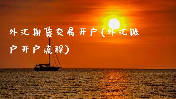 外汇期货交易开户(外汇账户开户流程)_https://www.zztgc.com_原油期货_第1张