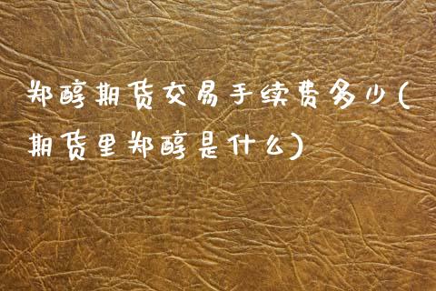 郑醇期货交易手续费多少(期货里郑醇是什么)_https://www.zztgc.com_原油期货_第1张