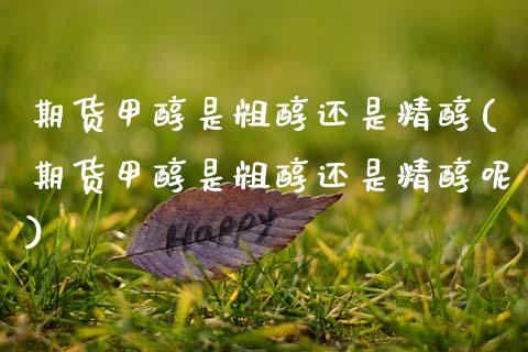期货甲醇是粗醇还是精醇(期货甲醇是粗醇还是精醇呢)_https://www.zztgc.com_黄金期货_第1张