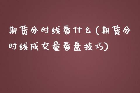 期货分时线看什么(期货分时线成交量看盘技巧)_https://www.zztgc.com_期货入门_第1张