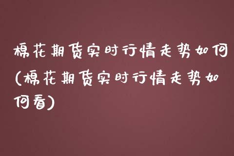 棉花期货实时行情走势如何(棉花期货实时行情走势如何看)_https://www.zztgc.com_期货入门_第1张